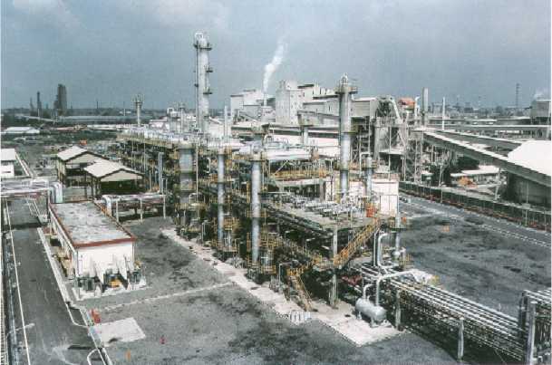 Petrochemical Plant